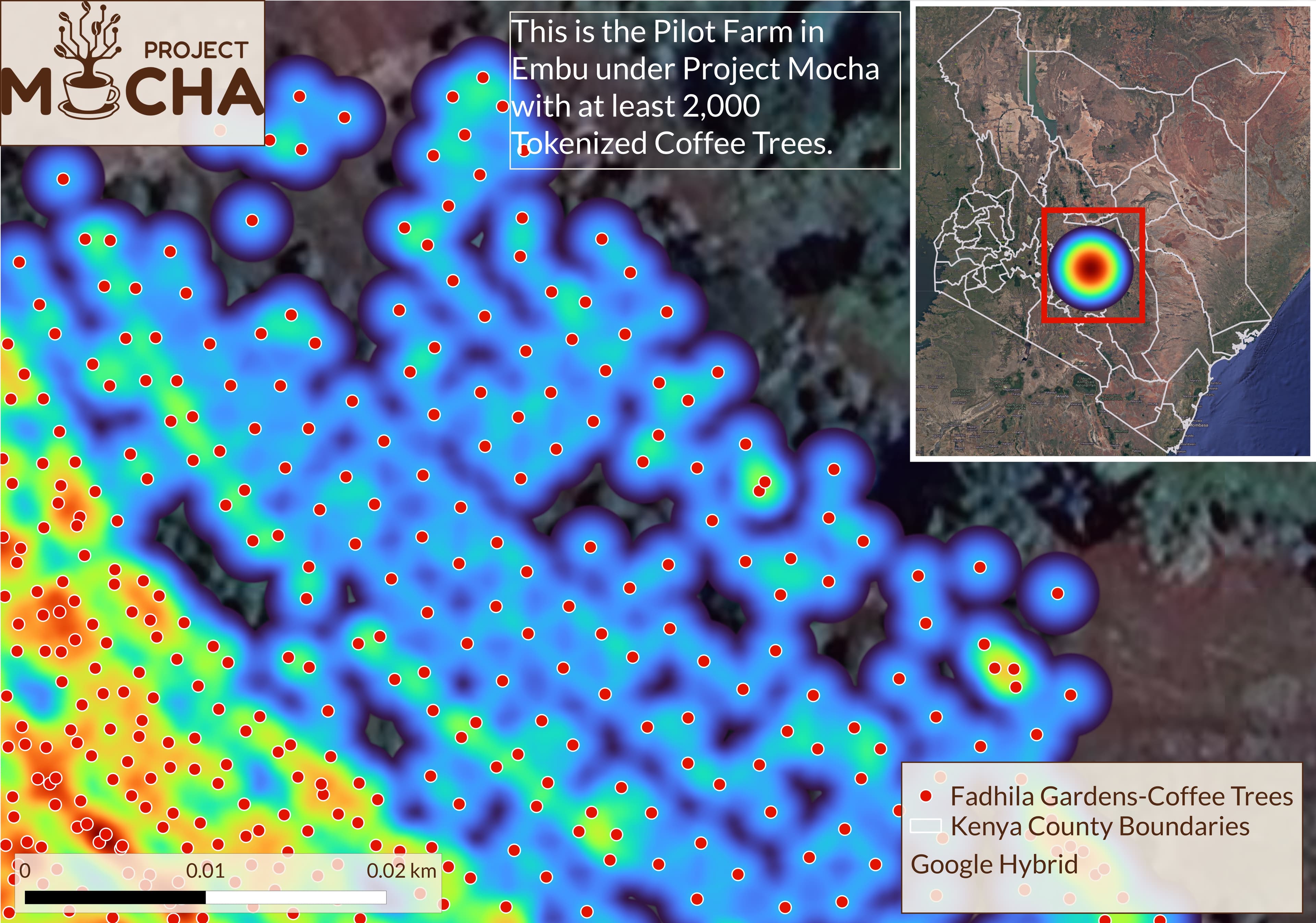 Tree canopy analysis showing individual coffee trees at Fadhila Gardens farm